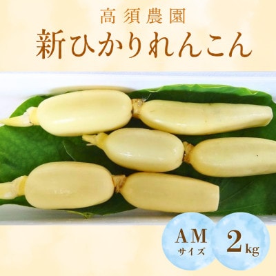 新ひかりれんこん 2kg(3本～4本入り)AMサイズ 産地直送 浮島産れんこん