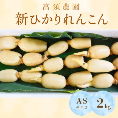 新ひかりれんこん 2kg(6本～9本入り)ASサイズ 産地直送 浮島産れんこん