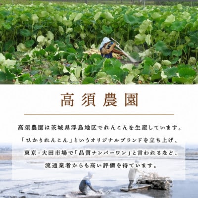 新ひかりれんこん 2kg(6本～9本入り)ASサイズ 産地直送 浮島産れんこん
