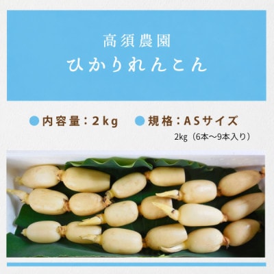 新ひかりれんこん 2kg(6本～9本入り)ASサイズ 産地直送 浮島産れんこん