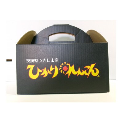 ひかりれんこん　1kg(3本～4本)産地直送(化粧箱鮮度保持袋使用)