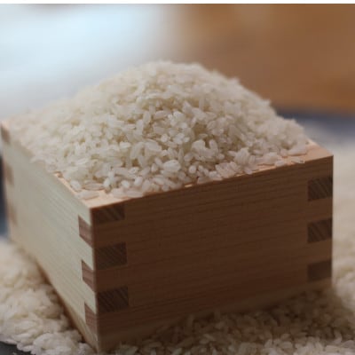令和7年産 稲敷市産 プリンセスサリー(精米)計3kg