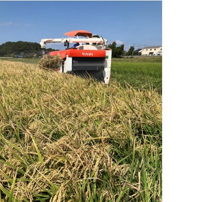 令和7年産 稲敷市産 プリンセスサリー(精米)計3kg