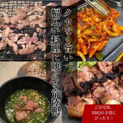 茨城県稲敷市産合鴨【常陸鴨】切り落とし1kg(冷凍)日常使いにぴったり