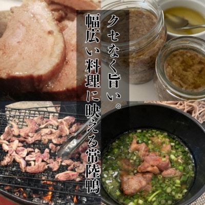 茨城県稲敷市産合鴨【常陸鴨】ロース 300～350g (冷凍)