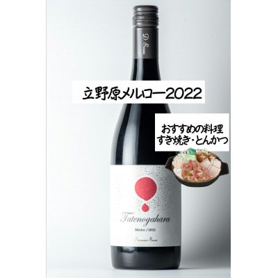 【ワインコンクール受賞】Domaine  Beau 「南砺市産のぶどう」立野原ワイン3本セット