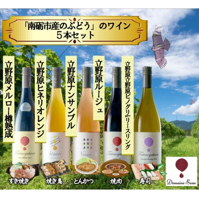 【ワインコンクール受賞】Domaine Beau 「南砺市産のぶどう」立野原ワイン5本セット