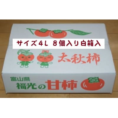 甘柿『太秋柿・輝太郎柿詰合せ』　4L　8個　白箱入り