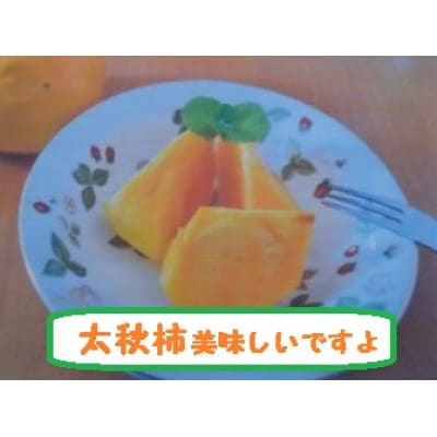 甘柿『太秋柿・輝太郎柿詰合せ』　4L　8個　白箱入り