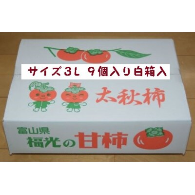 甘柿『太秋柿・輝太郎柿詰合せ』 3L　9個　白箱入り