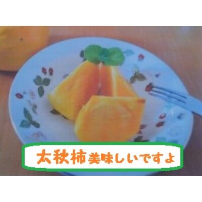甘柿『太秋柿・輝太郎柿詰合せ』 3L　9個　白箱入り