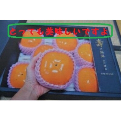 甘柿『太秋柿輝太郎柿詰合せ』　4L　8個　大化粧箱入り