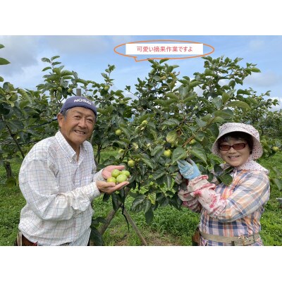 甘柿『太秋柿輝太郎柿詰合せ』　4L　8個　大化粧箱入り