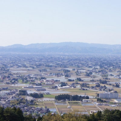 【令和6年産】井波産こしひかり　10kg