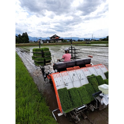 【令和6年産】厳選　富山県産こしひかり　育(はぐくみ)白米2㎏×2個セット《南砺の逸品》