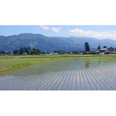 【令和6年産】富山県産こしひかり　育(はぐくみ)白米2㎏×白米3個セット《南砺の逸品》