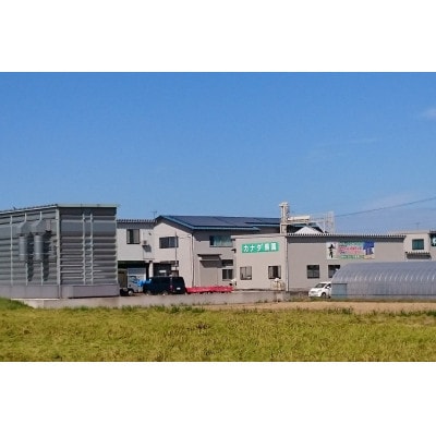 【令和6年産】富山県産こしひかり　育(はぐくみ)白米3㎏×2個セット《南砺の逸品》