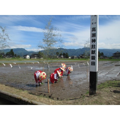 【令和6年産】富山県産こしひかり　育(はぐくみ)白米3㎏×2個セット《南砺の逸品》
