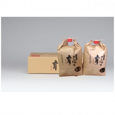 【令和6年産】富山県産こしひかり　育(はぐくみ)玄米　5㎏×2個セット《南砺の逸品》