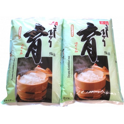 【発送月固定定期便】富山県産こしひかり　育(はぐくみ) 白米5kg×2袋《南砺の逸品》全12回