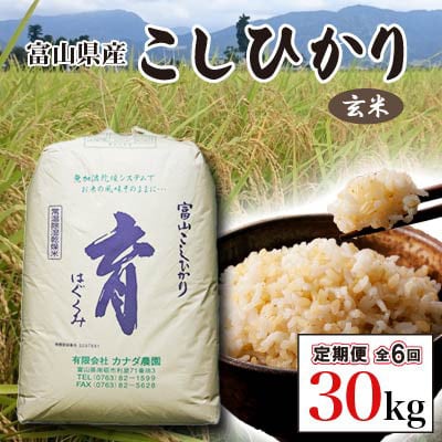 【発送月固定定期便】富山県産こしひかり　育(はぐくみ) 玄米30kg《南砺の逸品》全6回