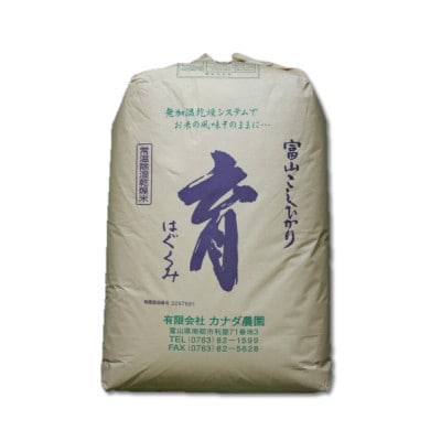 【発送月固定定期便】富山県産こしひかり　育(はぐくみ) 玄米30kg《南砺の逸品》全6回