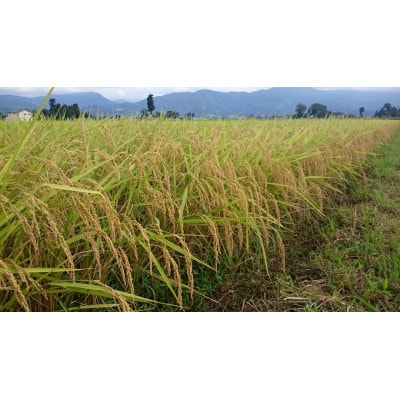 【発送月固定定期便】富山県産こしひかり　育(はぐくみ) 玄米30kg《南砺の逸品》全6回