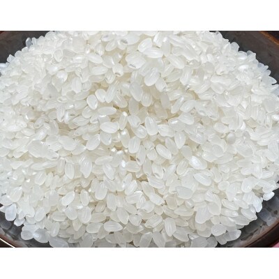 南砺市蓑谷産コシヒカリ「龍女の舞」5kg　無洗米(精米)