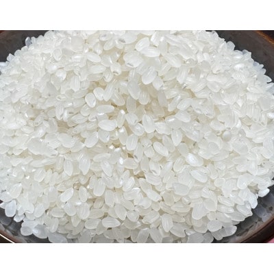 令和6年　南砺市蓑谷産コシヒカリ「龍女の舞」5kg　無洗米(精米)