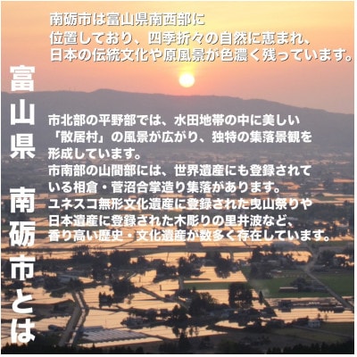 【返礼品なし】富山県南砺市への応援寄附　1口 2,000円