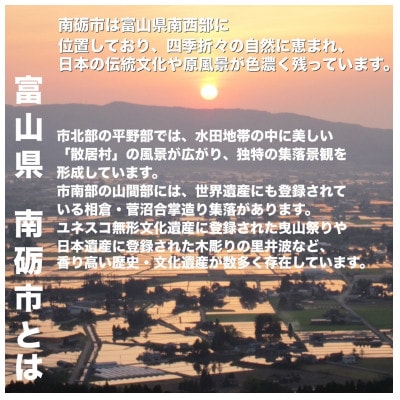 【返礼品なし】富山県南砺市への応援寄附　1口 5,000円