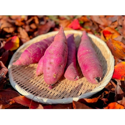 安納芋(さつまいも)　5KG