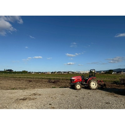 安納芋(さつまいも)　5KG