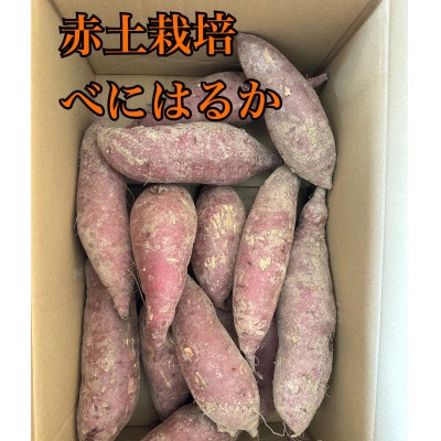 富山県南砺市立野原産赤土べにはるか計5kg