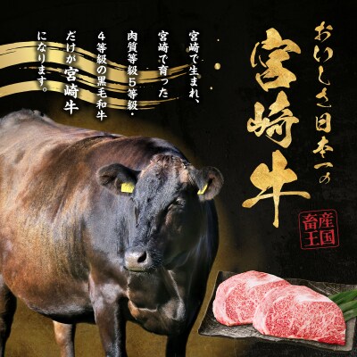 宮崎牛霜降り(ロース)ステーキ250g×2枚 計500g
