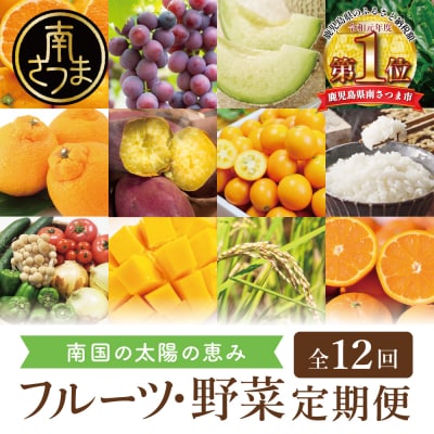 【定期便】南国の恵み 旬のフルーツ・野菜定期便(全12回) 米 ぶどう マンゴー メロン 柑橘 果物