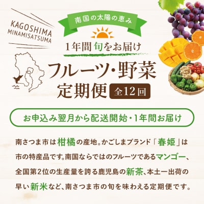 【定期便】南国の恵み 旬のフルーツ・野菜定期便(全12回) 米 ぶどう マンゴー メロン 柑橘 果物