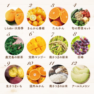 【定期便】南国の恵み 旬のフルーツ・野菜定期便(全12回) 米 ぶどう マンゴー メロン 柑橘 果物