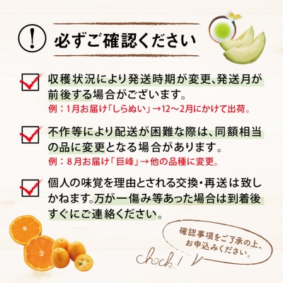 【定期便】南国の恵み 旬のフルーツ・野菜定期便(全12回) 米 ぶどう マンゴー メロン 柑橘 果物
