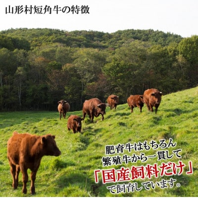 山形村短角牛　厚切り!肩ロースステーキ300g　冷凍