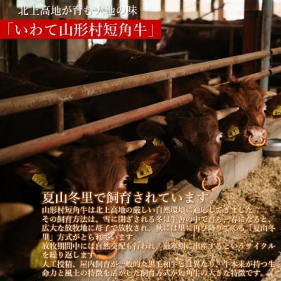 山形村短角牛 おまかせBBQセット(3～4人前)　21-8-1