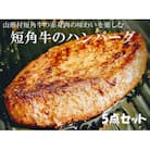 農舎の短角牛ハンバーグ5点セット　21-18