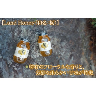 北緯40度はちみつ 木箱入り「秀-SHU-」とち 1,200g×2本セッ