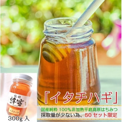 【希少】「はちみつ イタチハギ 300g」国産 純粋 非加熱 無加糖 無添加 はちみつ