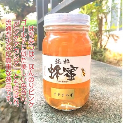 【希少】「はちみつ イタチハギ 300g」国産 純粋 非加熱 無加糖 無添加 はちみつ