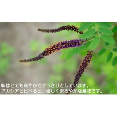 【希少】「はちみつ イタチハギ 300g」国産 純粋 非加熱 無加糖 無添加 はちみつ