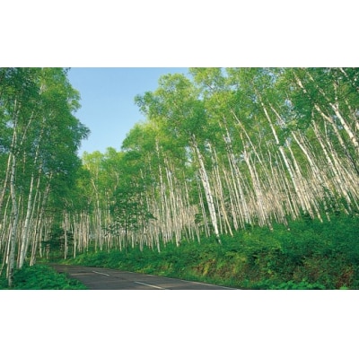 「平庭高原はちみつ(とち)600g」国産 純粋 非加熱 無加糖 無添加 はちみつ