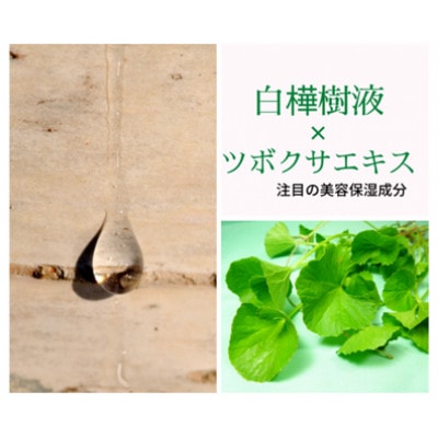 「乾いたお肌や髪に」白樺樹液と肌 うるおいミスト200ml