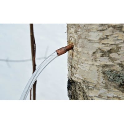 白樺樹液と肌 しっとり美肌オールインワンジェル(ミニ)と石鹸