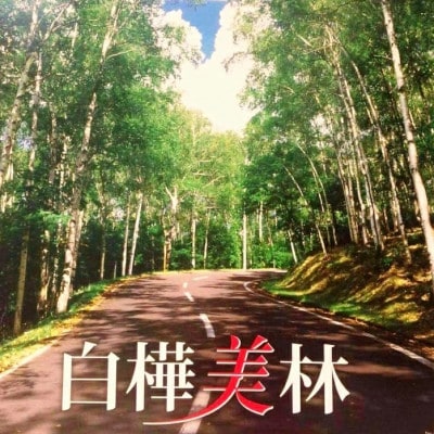 白樺樹液と肌 しっとり美肌オールインワンジェル100g